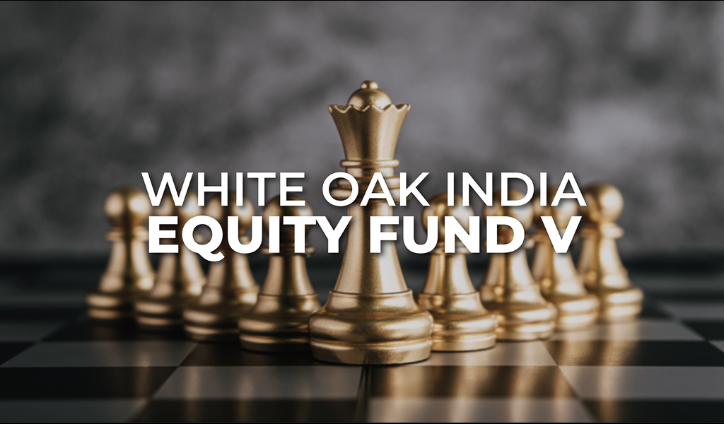 Equity Fund V Portfolio
