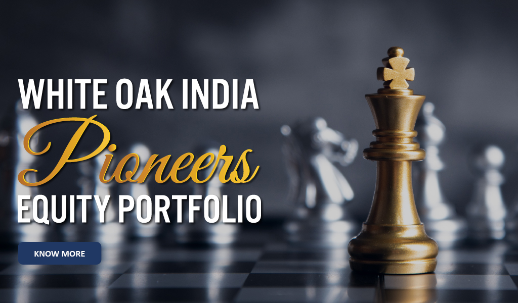 Pioneers Equity Portfolio.jpg